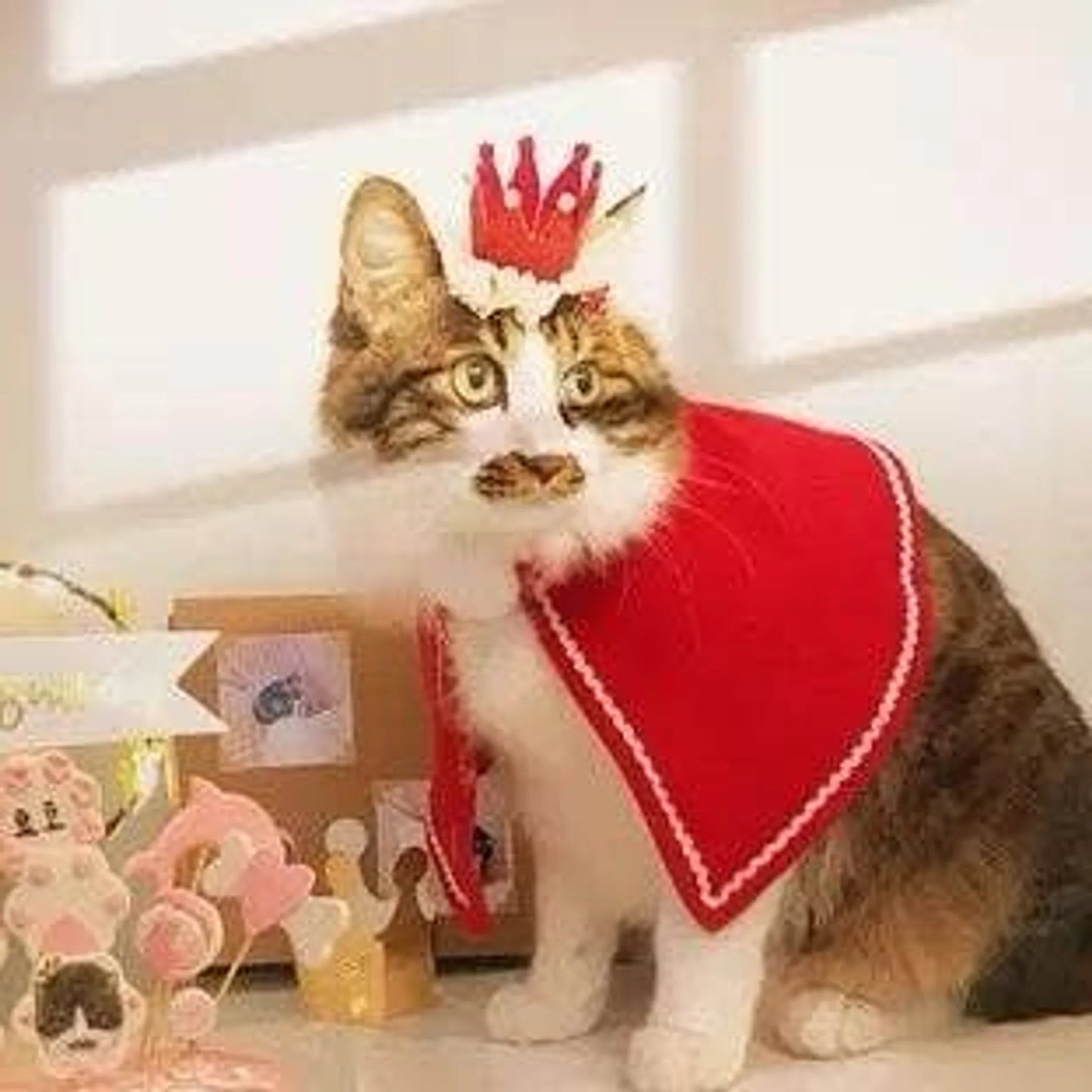 Merry Christmas Crown for pets