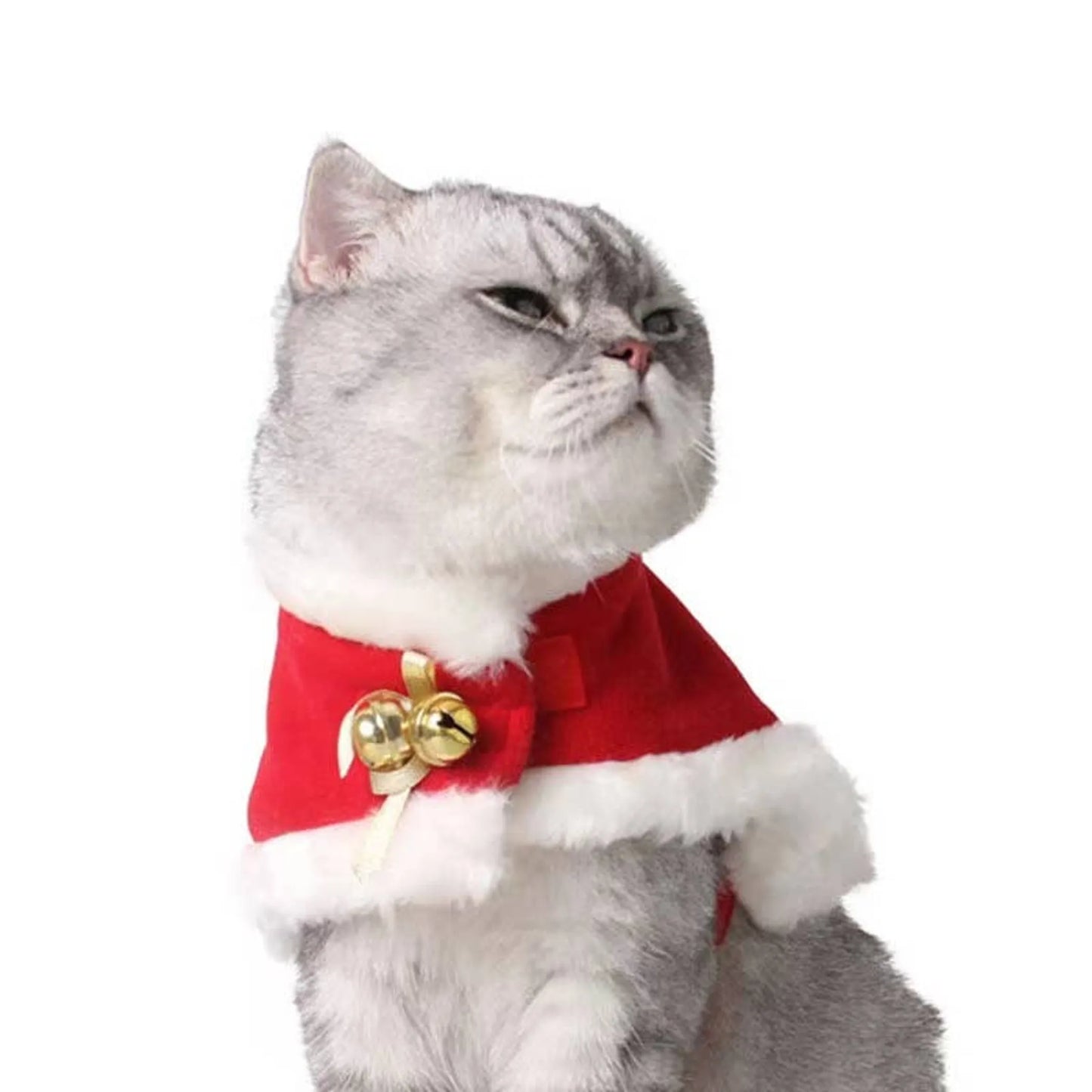 Merry Christmas Pets Beautiful Clothes